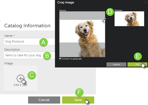 Image Title My Image