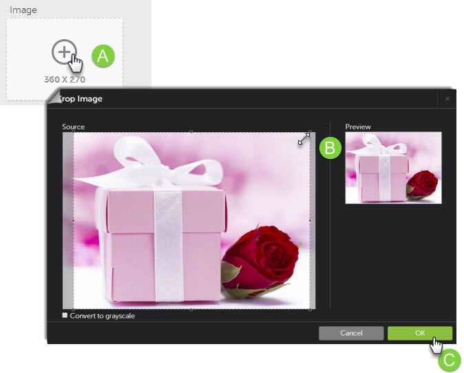 Image Title My Image